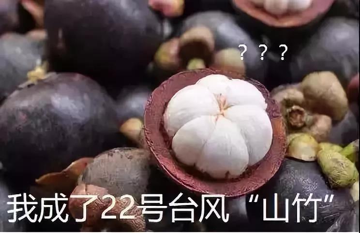 Z6ʱ(й)ٷվ